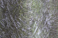 Lednagullin fibreglass roof work